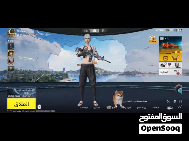 Pubg Accounts and Characters for Sale in Qalubia