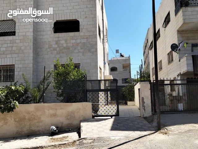 تسويه للايجار في الذراع الغربي