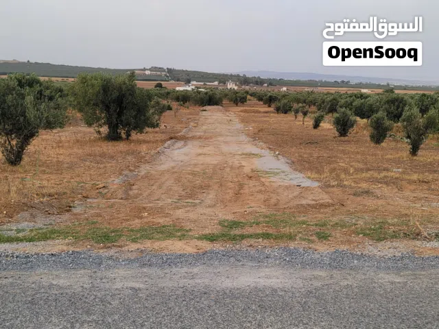 Residential Land for Sale in Hammamet Other