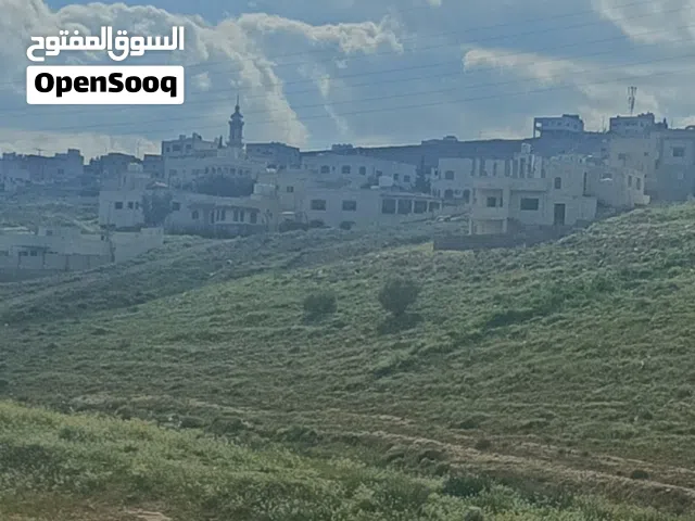 بيت قيد الانشاء بجانب المشتل