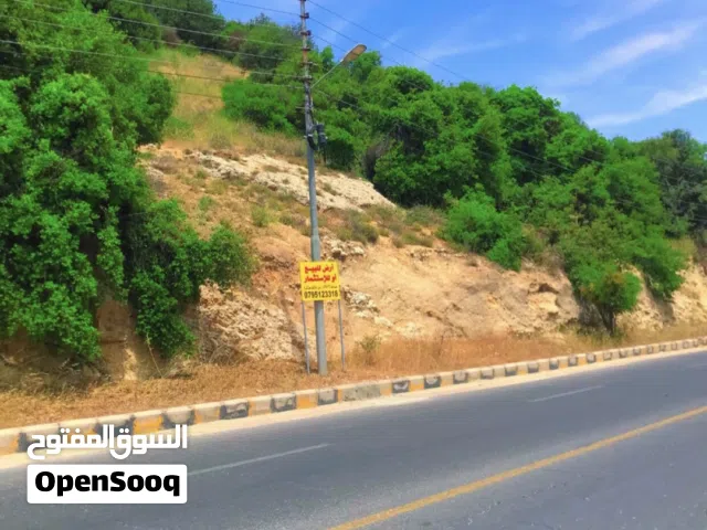 Residential Land for Sale in Amman Badr