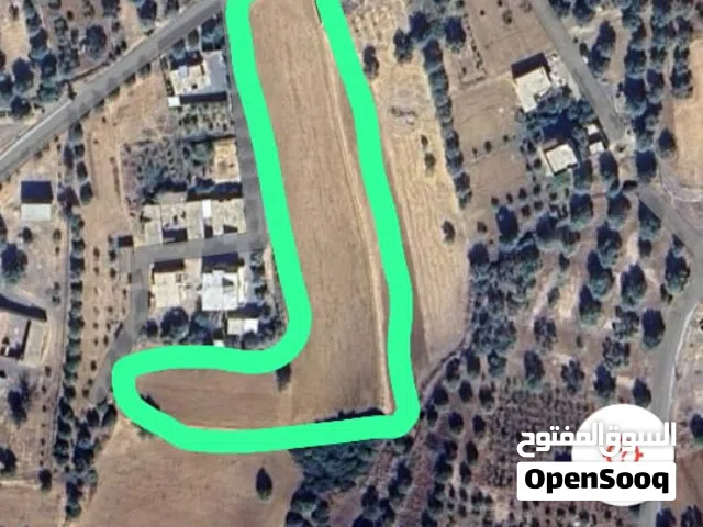 Farm Land for Sale in Bouira Other