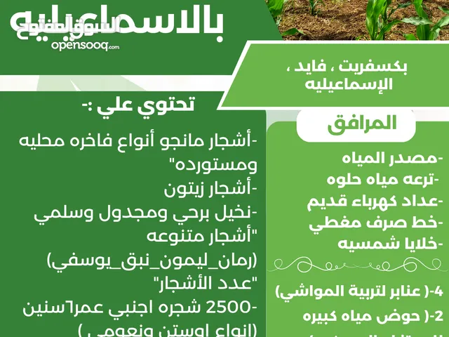 مزرعه للبيع 10 أفدنه بمدخل مستقل