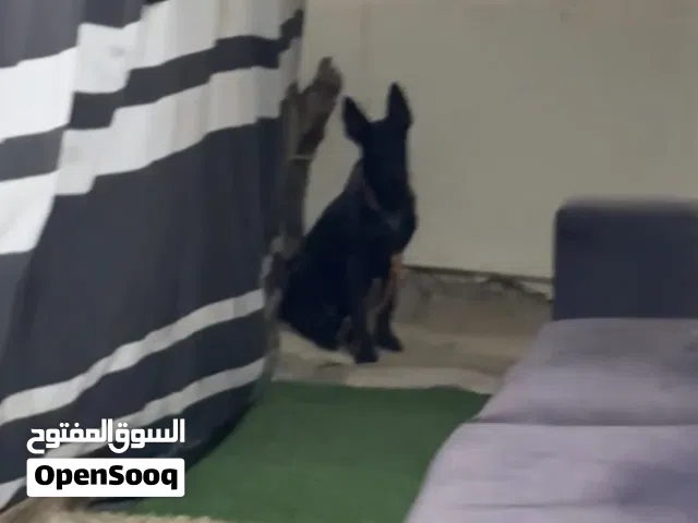 ونبتي اياثاغااهتثتعزثغلعتث