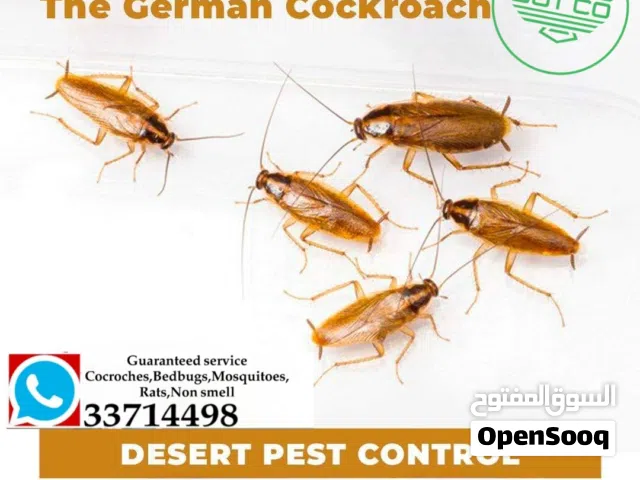 pest control and cleaning service paint service plumbing