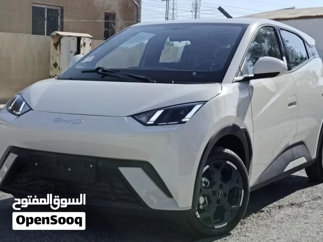 2024, بي واي دي, سيجول