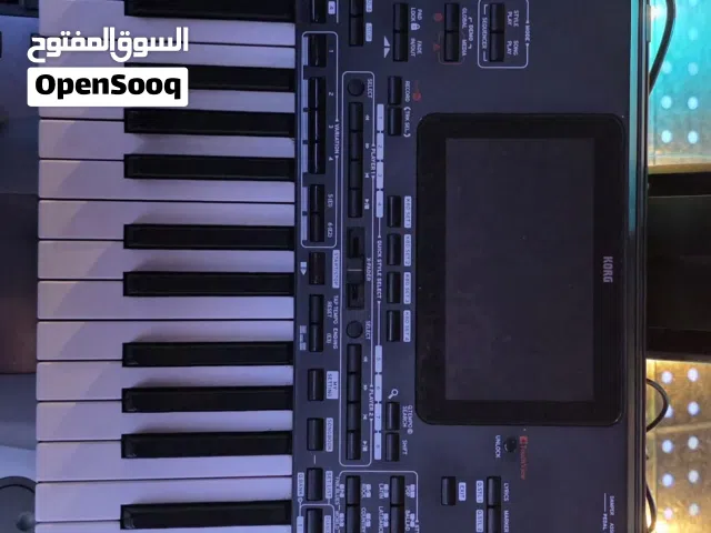 korg pa4x mg2