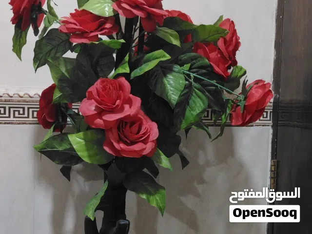 شجرة الطول متر ونص ،،شجرة وازهار