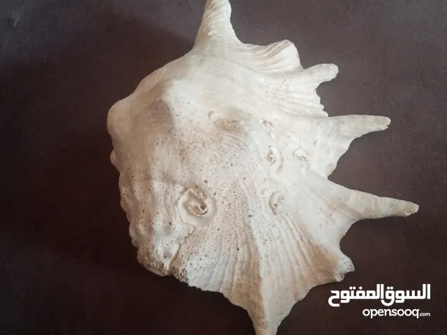 جوم للبيع