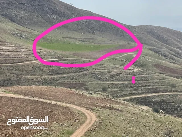 3.400دونم زراعي كامل القطعه لاستثمار