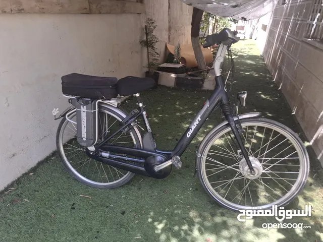 بسكليت كهربا