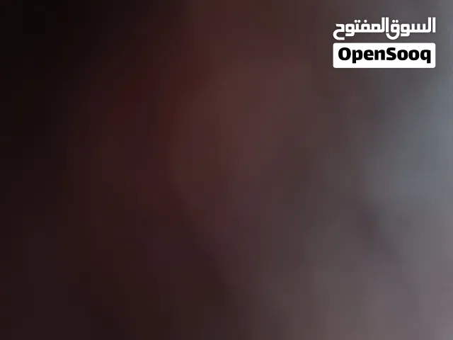 مخزن مستودع