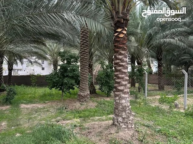 ارض للبيع في كربلاء مساحتها الكلية 900متر قرب الامام الحسين ع  يباع 500متر او400متر او كل المسا