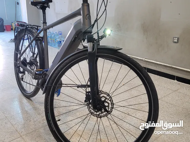 villo electrique Bosh