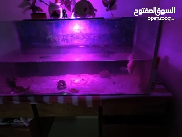aquarium with fish  urgent sale