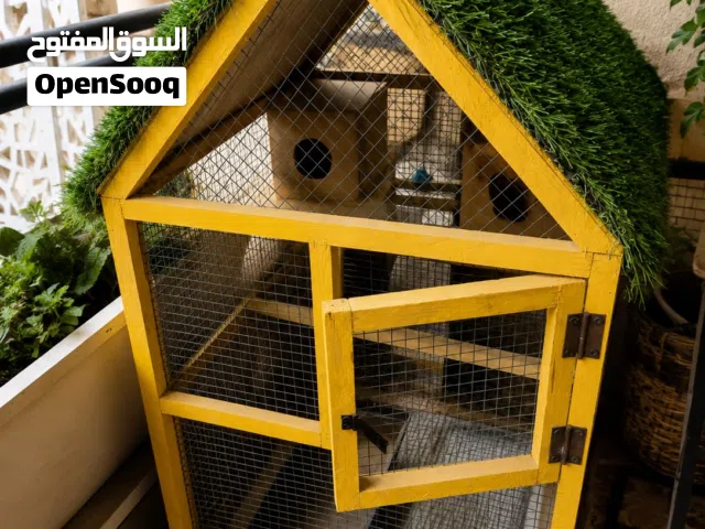 قفص طيور كبير للبيع