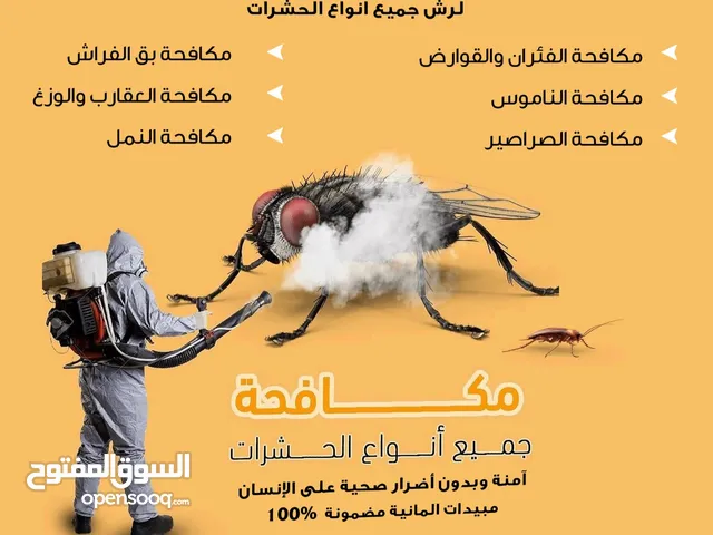 شركة مكافحة حشرات بالرياض رش مبيدات للحشرات صراصير بق نمل وزغ نامس باعوض رش للدفان مكافحة الفئران