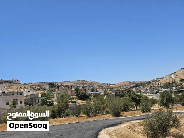 Residential Land for Sale in Zarqa Birayn