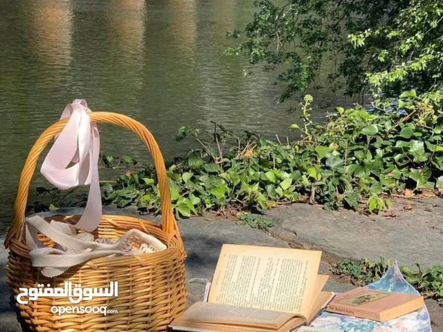 دروس خصوصية للمرحلة الابتدائيه