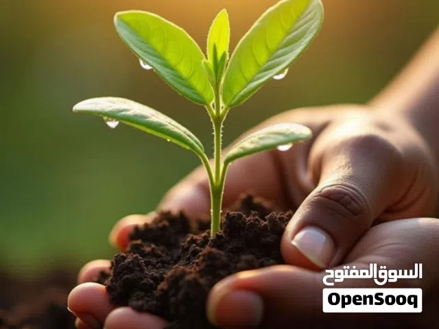Farm Land for Sale in River Nile Atbara