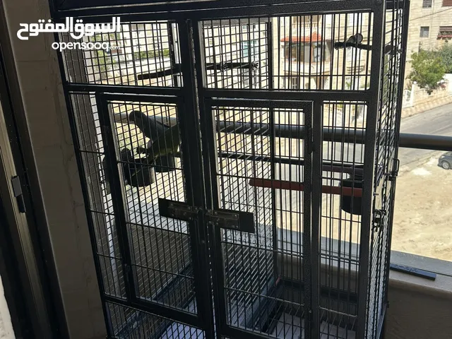 قفص ببغاء مع فاصل