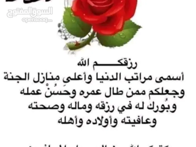 احمد صافي