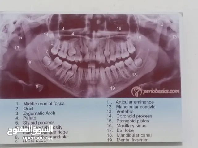 مطلوب ممول شريك في مشروع طبي