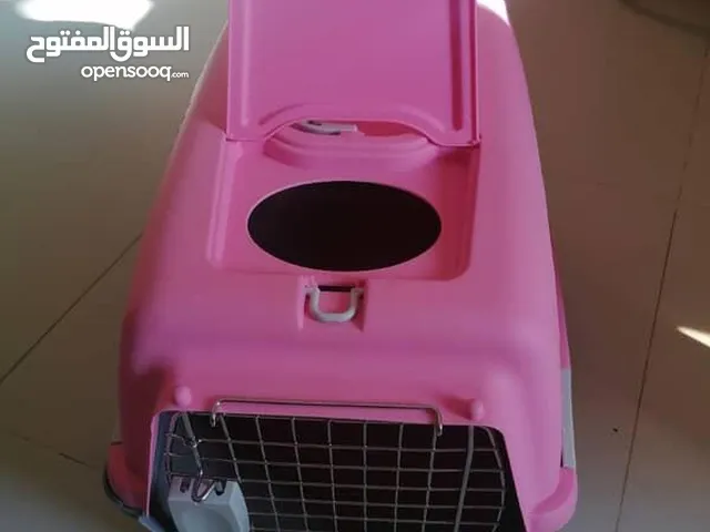 حامله للقطط