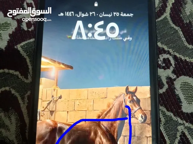 آيفون 11 للبيع