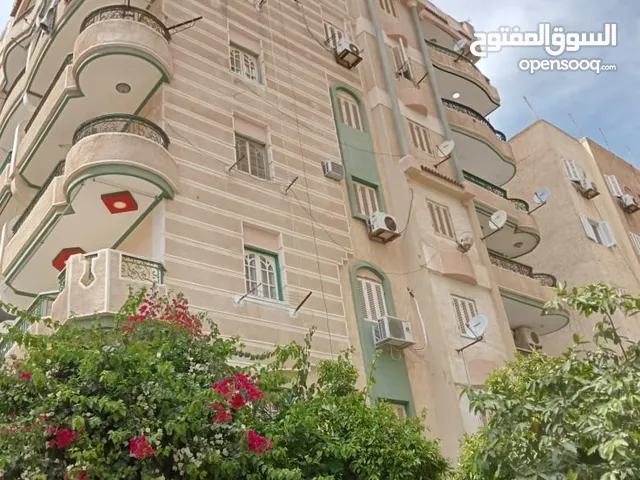 100 m2 2 Bedrooms Apartments for Sale in Alexandria Agami