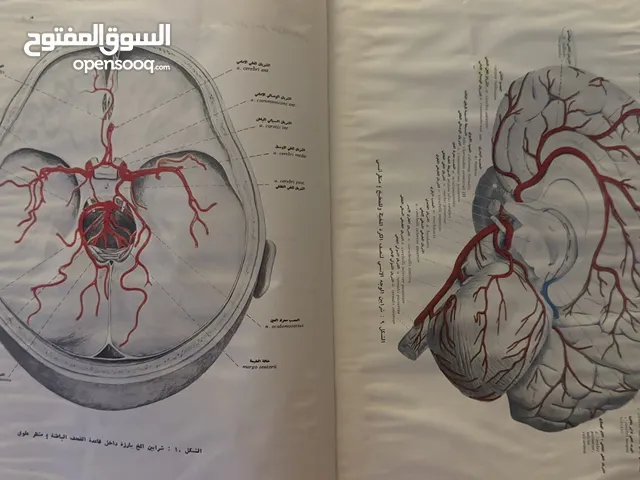 كتب طبية لطلاب طب الاسنان والطب البشري حالة ممتازة وشبه جديدة عمرهم فوق ال 30 سنة تقريباً