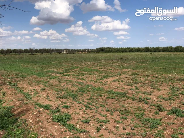 Mixed Use Land for Sale in Béni Mellal Other