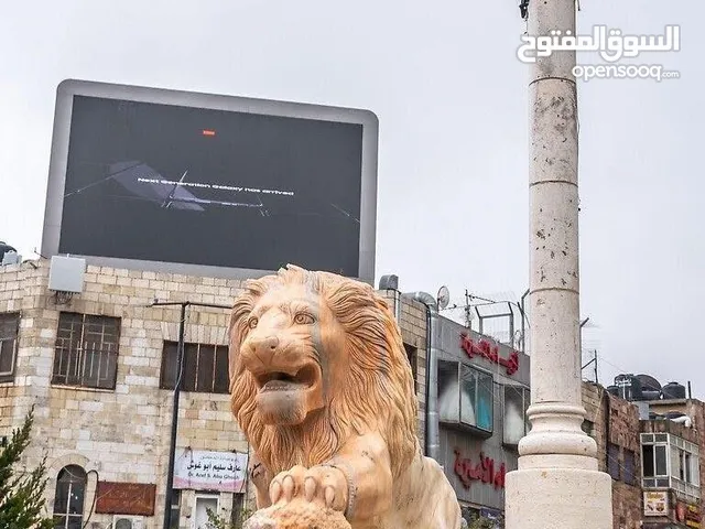 موجود سكن لصبيه في غرفة مشتركة -بالقرب من بنك فلسطين عين مصباح