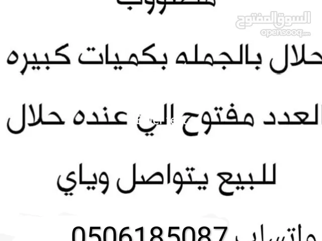 مطلوب حلال