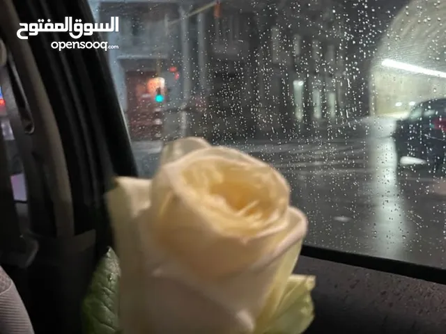 ملاك نايف