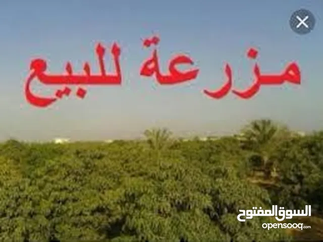 مزرعة للبيع