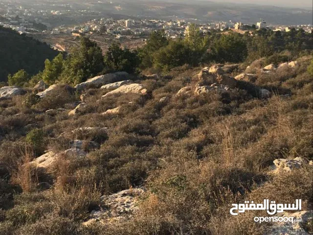 Residential Land for Sale in Ramallah and Al-Bireh Jifna