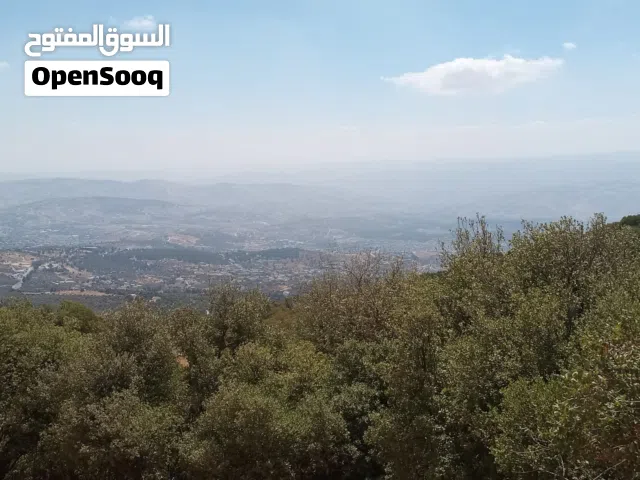Farm Land for Sale in Jerash Soof