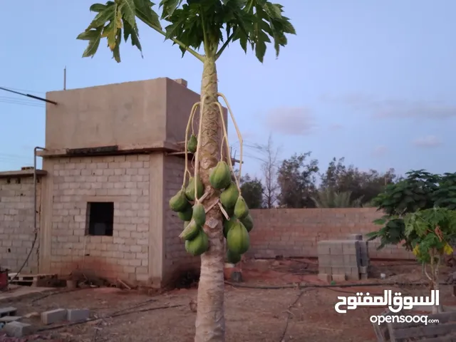 2 Bedrooms Chalet for Rent in Benghazi Al-Talhia