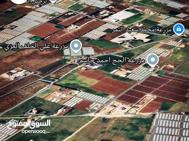 Farm Land for Sale in Amman Al-Khadra'