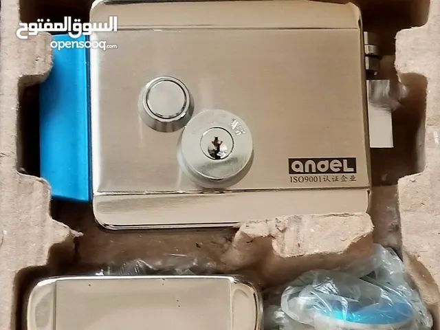 electric door lock