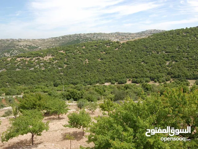 Mixed Use Land for Sale in Ajloun Barqash