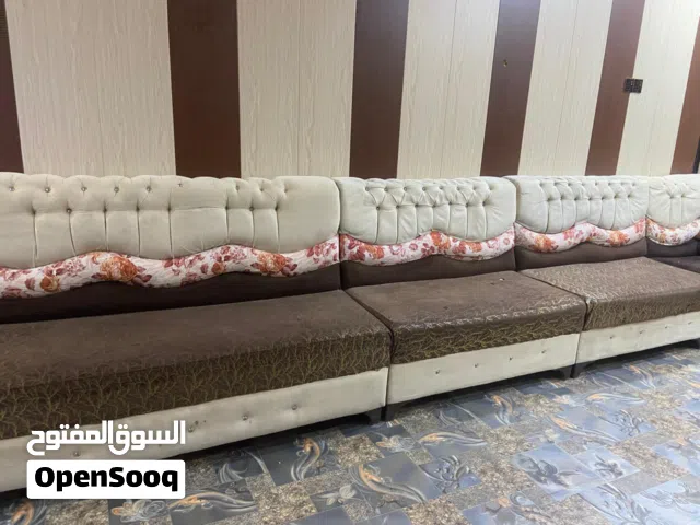 تخم قنفات للبيع