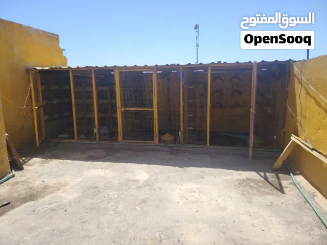 السلام عليكم متاح أقفص دجاج حمام تفصال طوله5أمتار  أبيه مجال