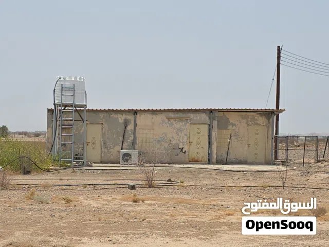 مزرعة مميزة للبيع بمنطقة سويدا الماء – ولاية عبري المساحة: 31618 متر مربع