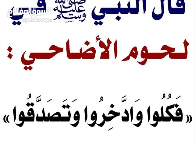 صيصان باكستاني حر عمر أربعين يوم للبيع أول للبدل بحمام أو كنار
