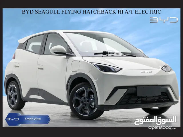 BYD SEAGULL FLYING HATCHBACK HI AT ELECTRIC Car 2024 Model Year