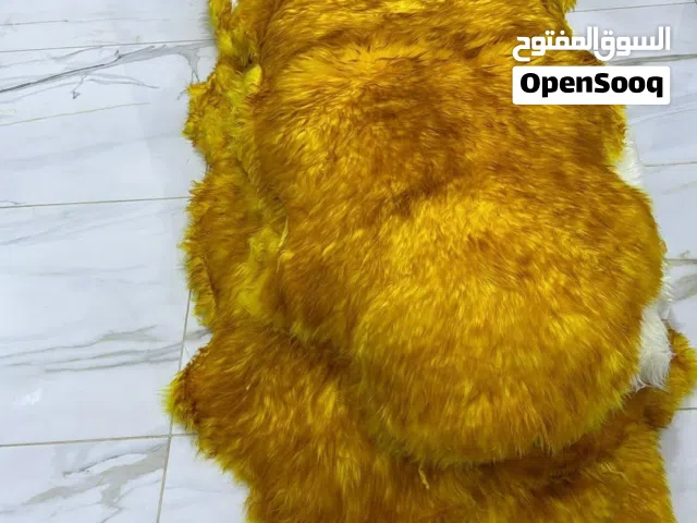 فرو طبيعي باللون الذهبي