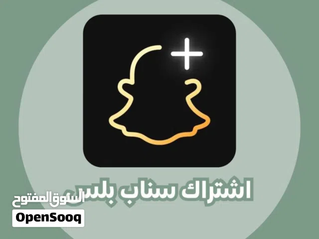 Accounts - Others Accounts and Characters for Sale in Northern Governorate