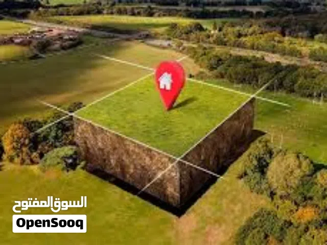 ارض للبيع في شارع السليني متفرع
